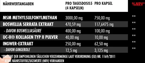 Big Zone Joint Protect 2.0 120 Kapseln - Bild 2