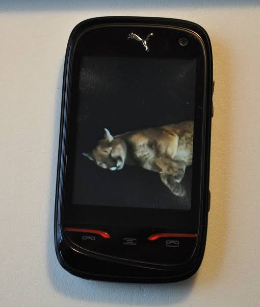 SAGEM Puma Phone M1