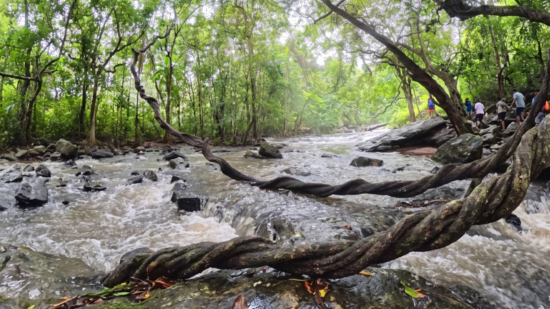 Algama Ella — 360° virtual tour in Sri Lanka