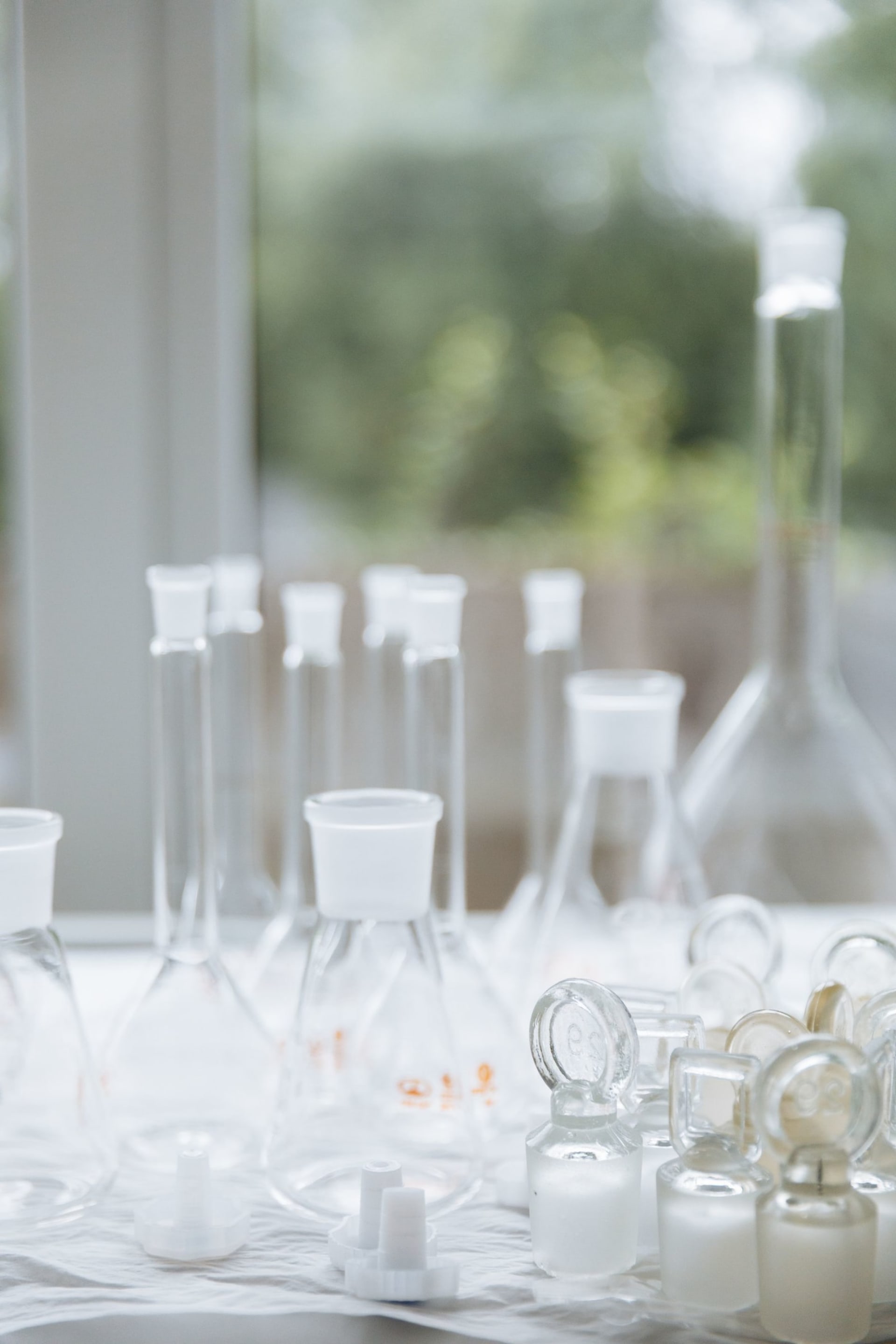 Clean laboratory glassware in soft daylight