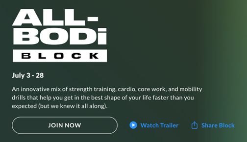 Plan A 21 Day Fix Challenge Tracker Bodi Super Block (Download Now) 