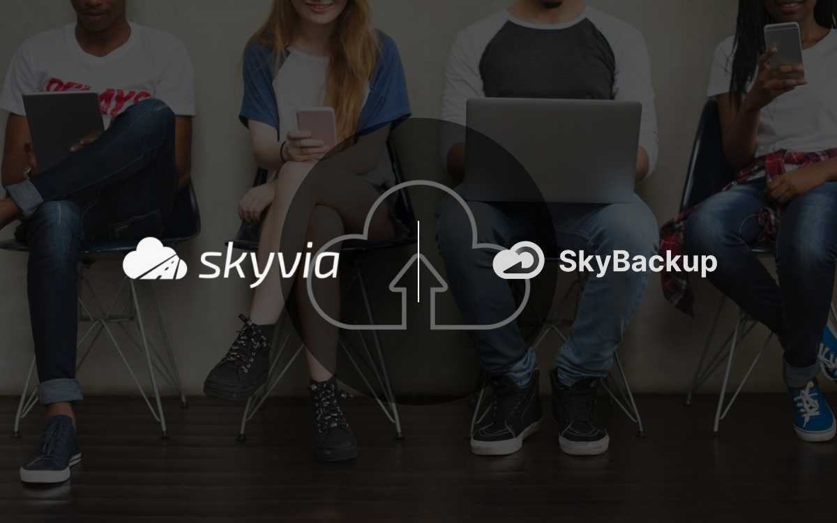 Skyvia Launches SkyBackup: A Robust Backup Solution for HubSpot Users ...
