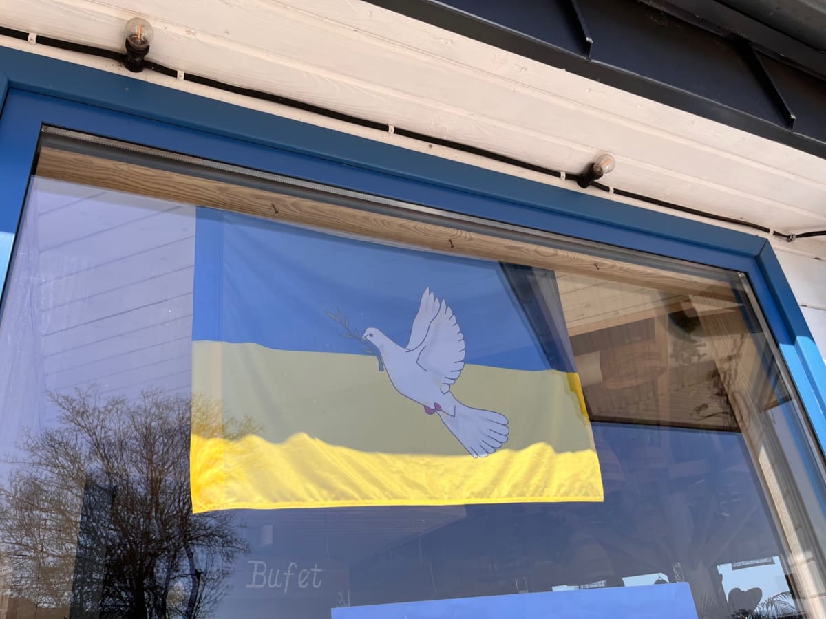 photo from album ukraine.flags