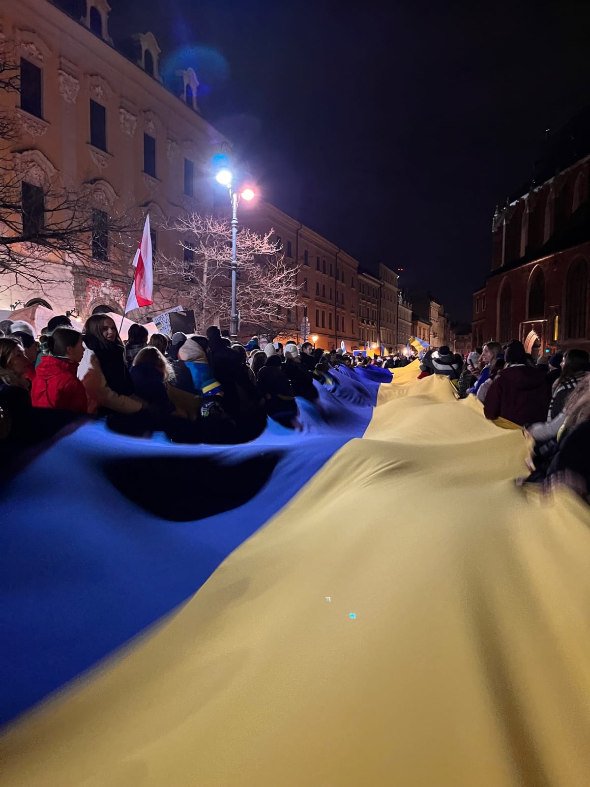 photo from album ukraine.flags