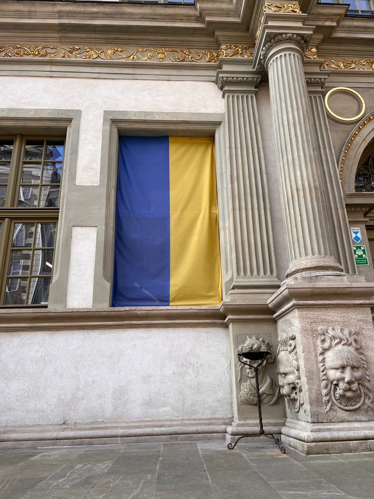 photo from album ukraine.flags