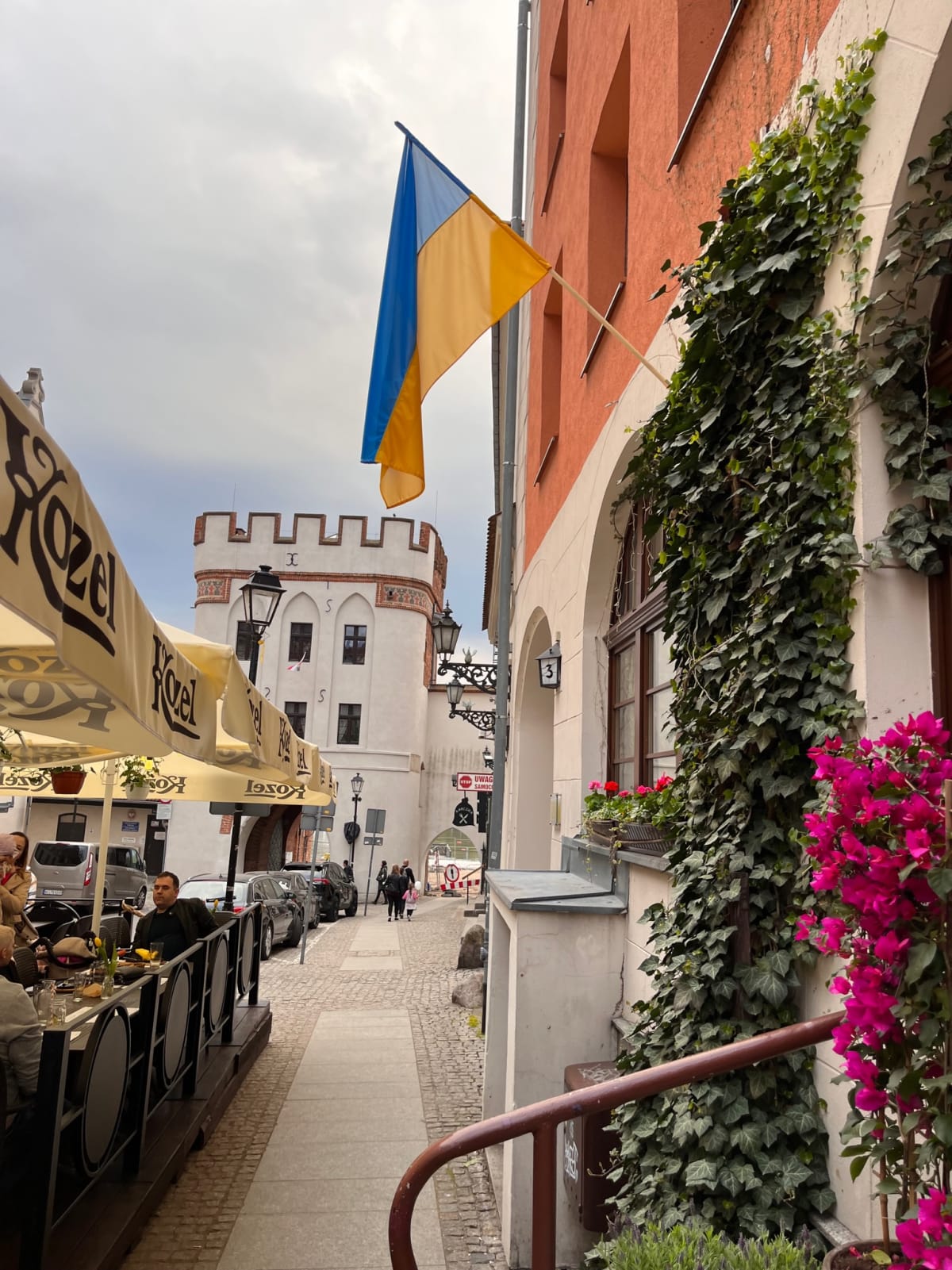 photo from album ukraine.flags