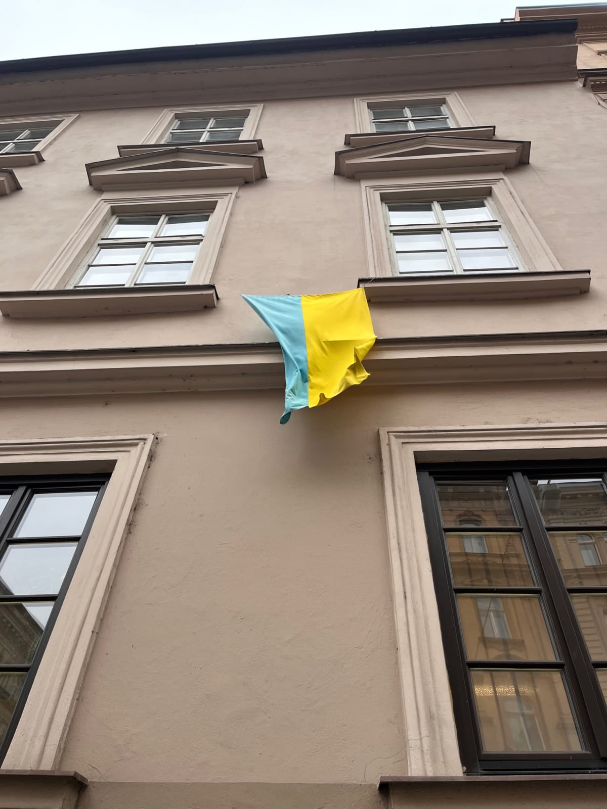 photo from album ukraine.flags