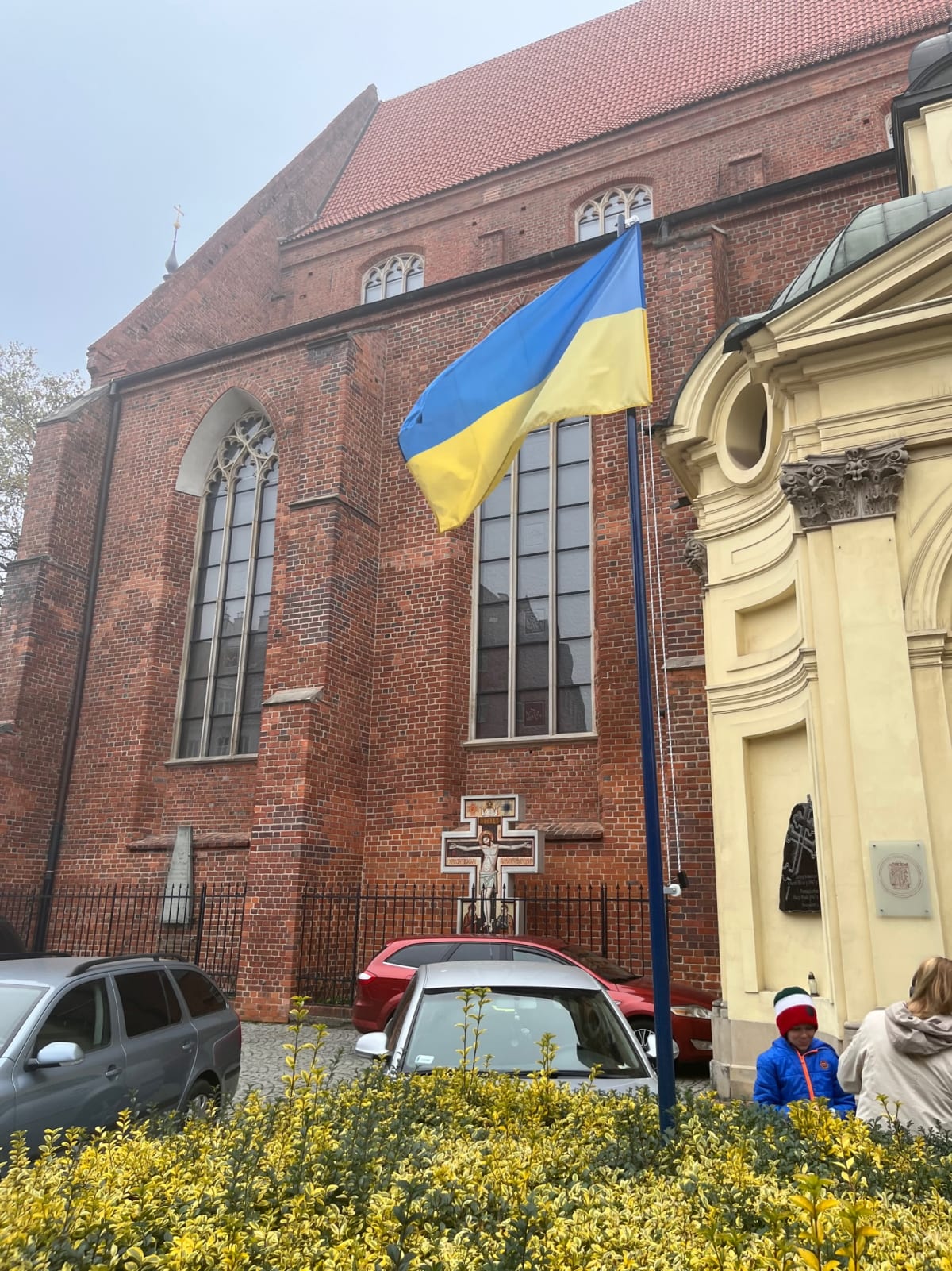 photo from album ukraine.flags