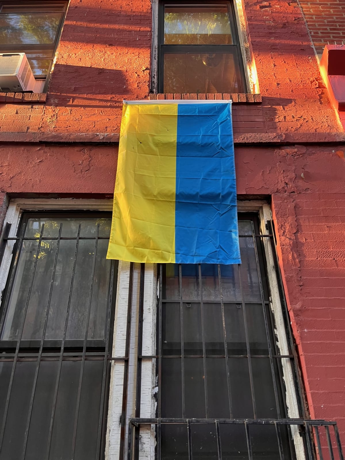 photo from album ukraine.flags