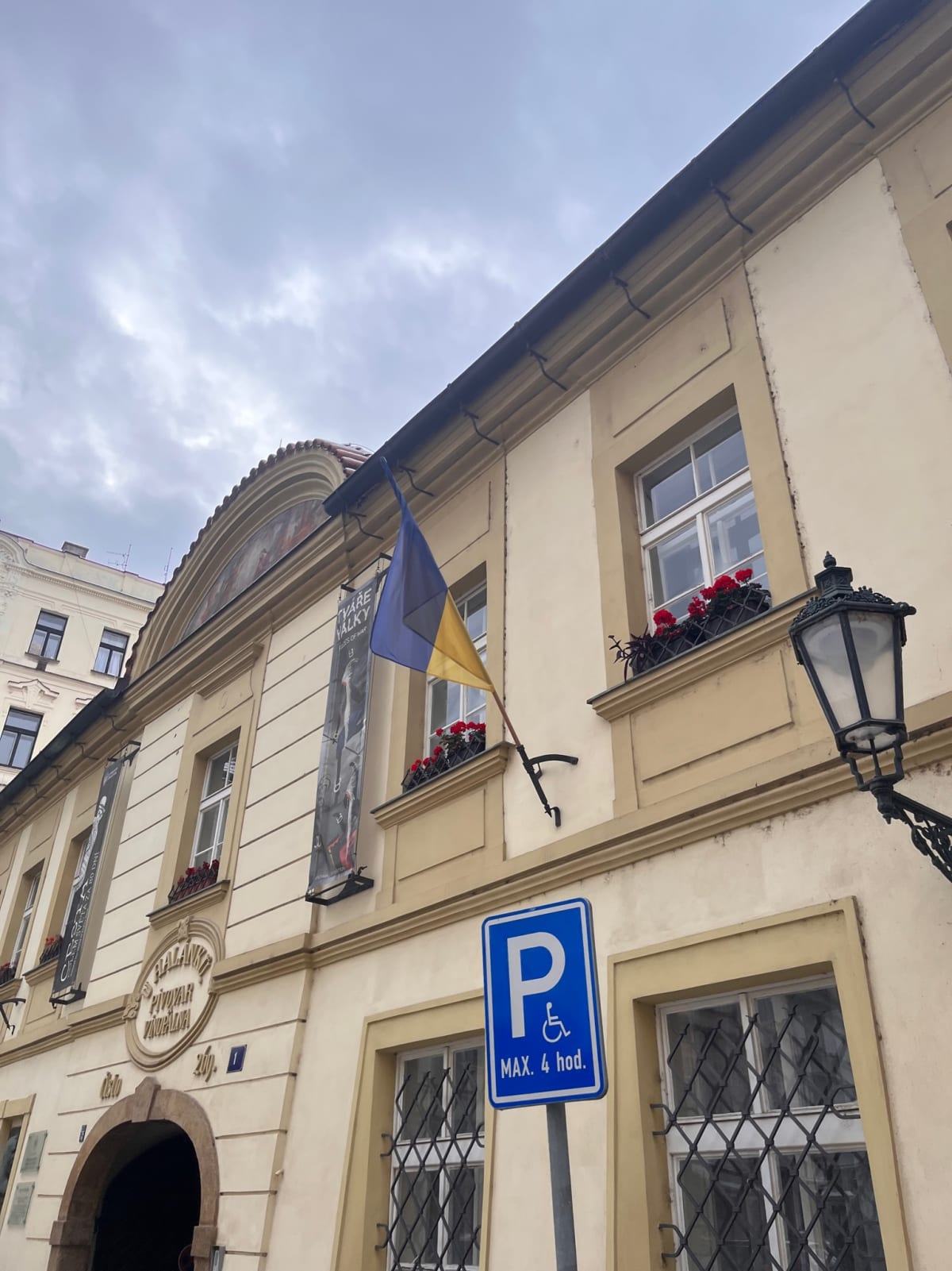 photo from album ukraine.flags