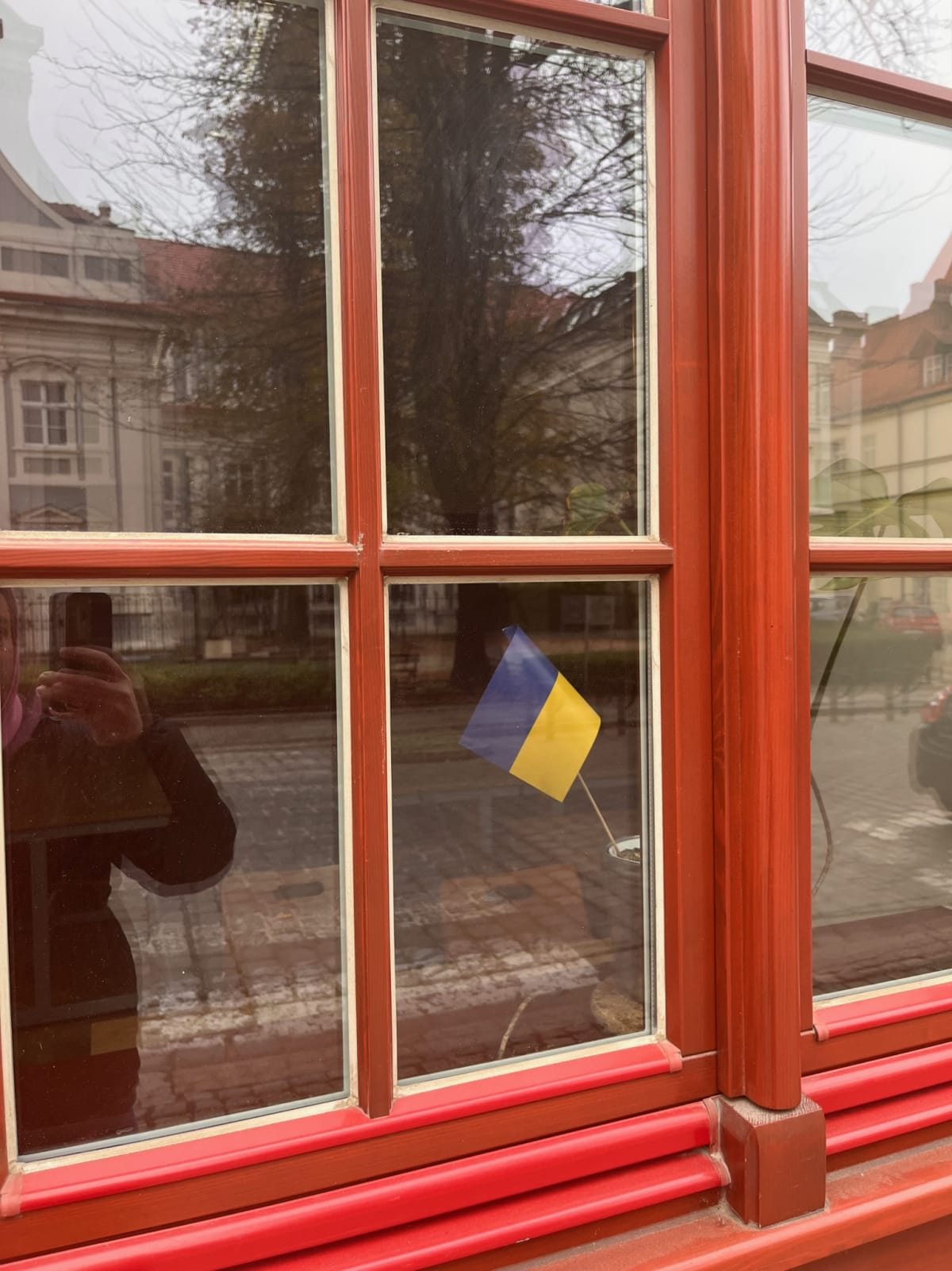 photo from album ukraine.flags