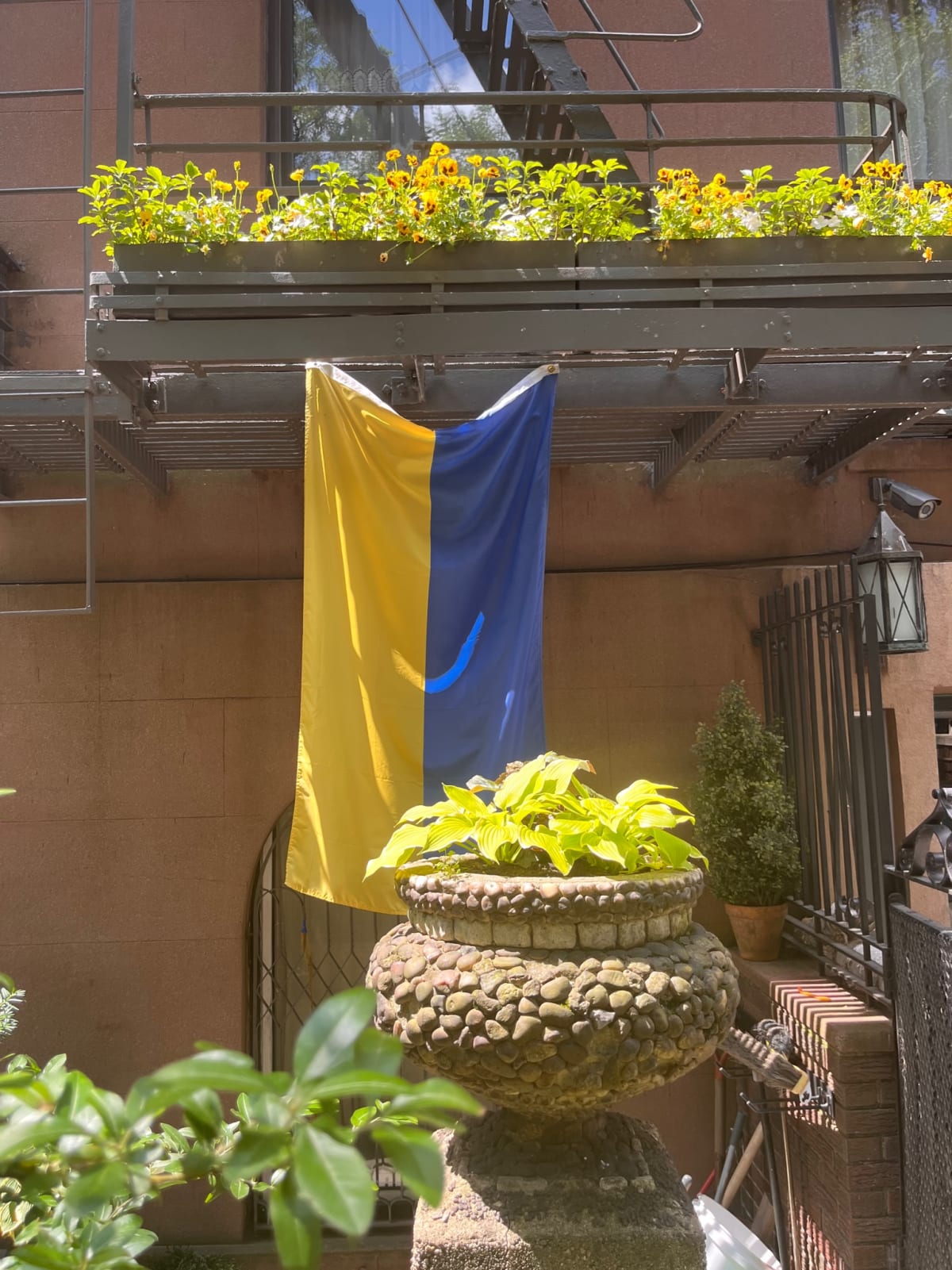 photo from album ukraine.flags