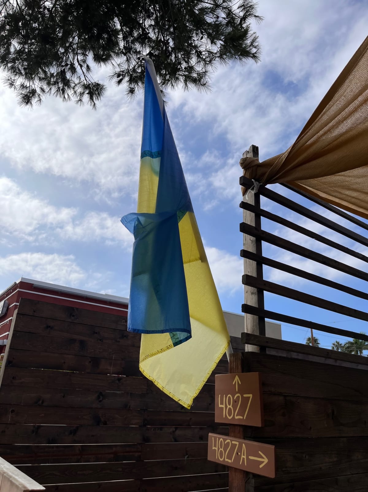 photo from album ukraine.flags