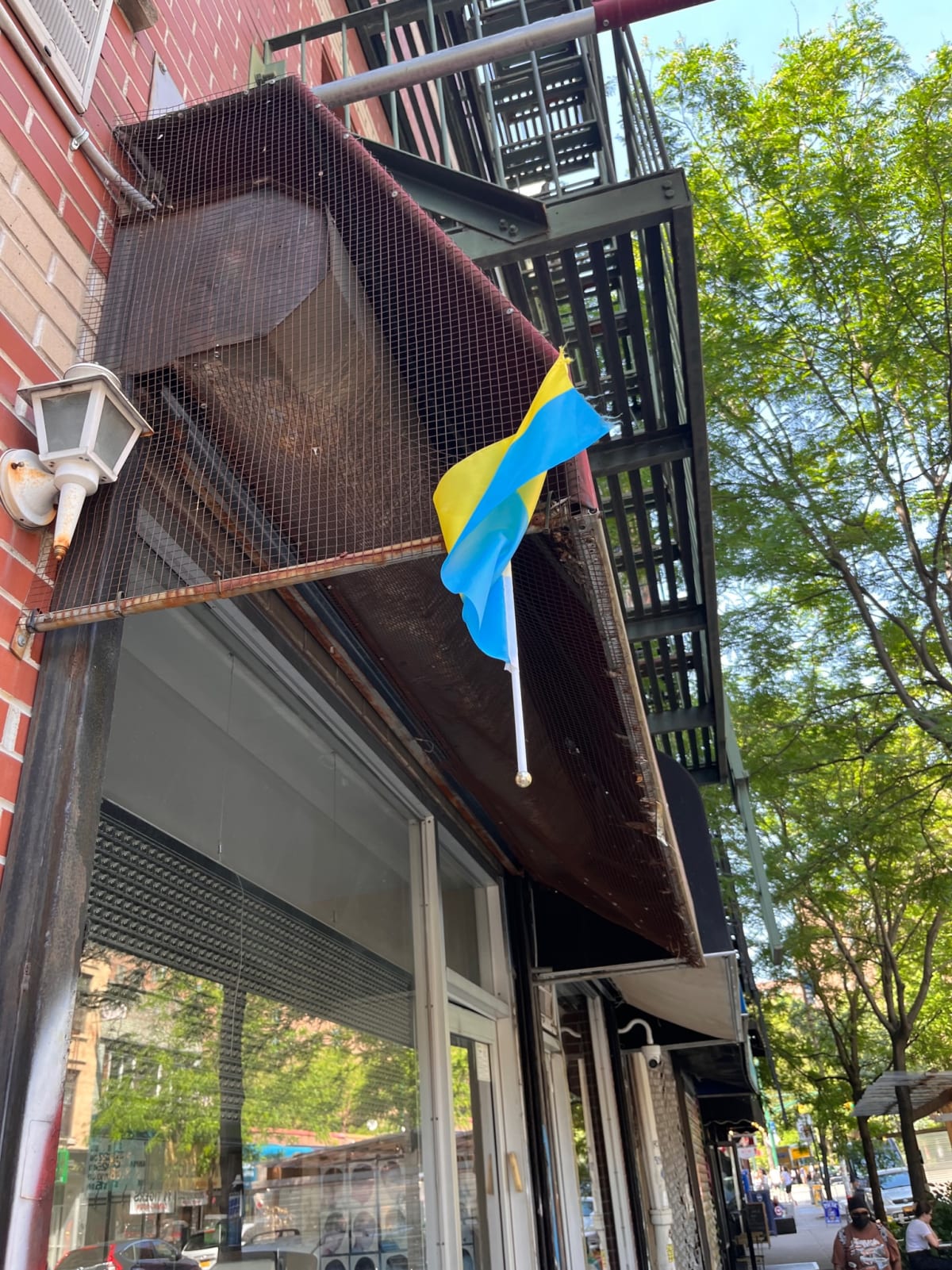photo from album ukraine.flags