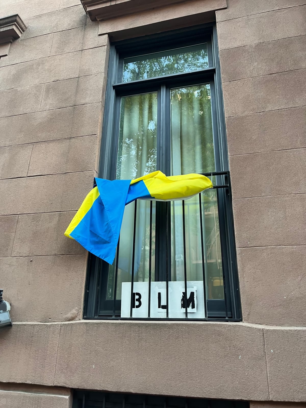 photo from album ukraine.flags