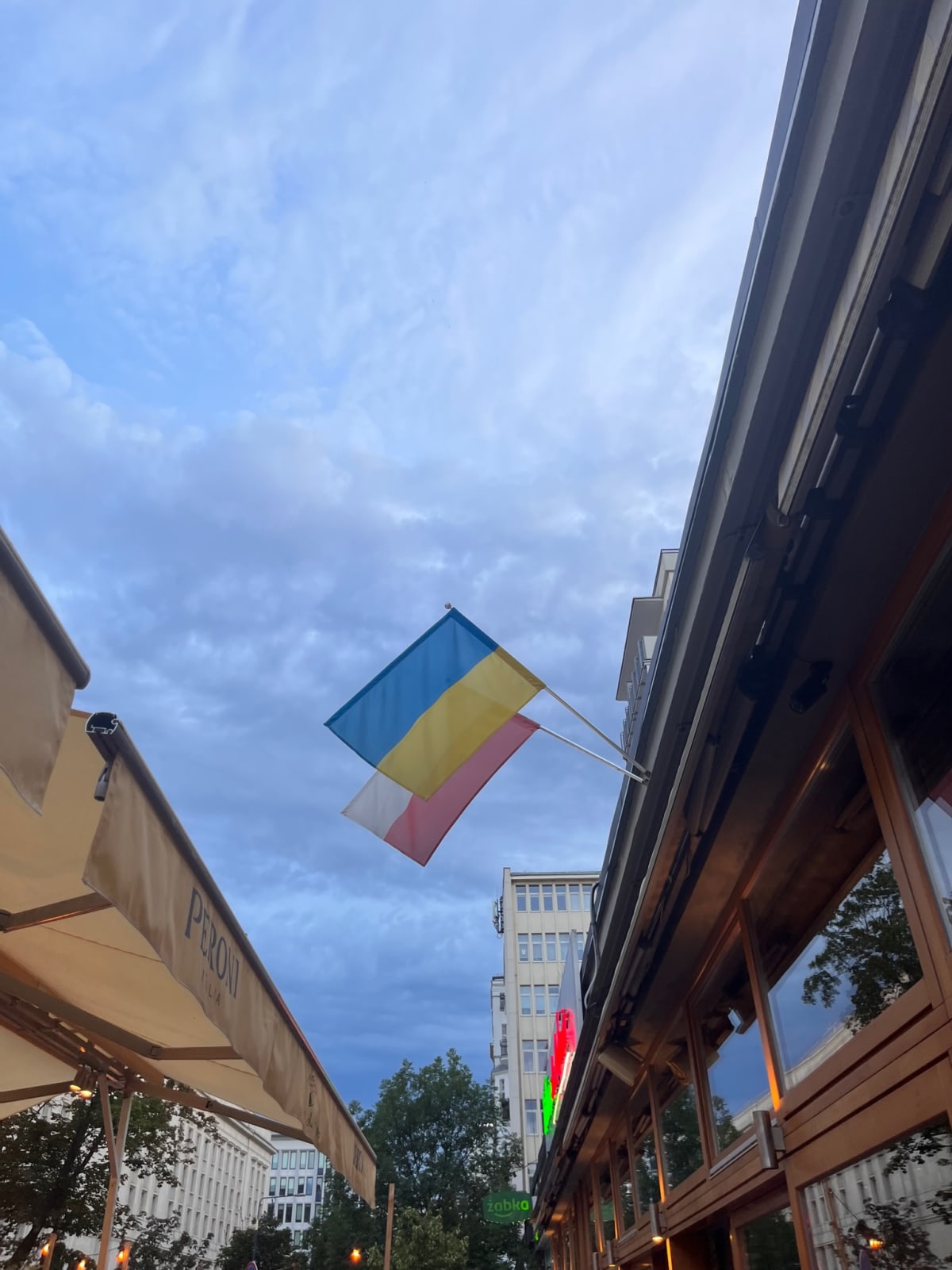 photo from album ukraine.flags