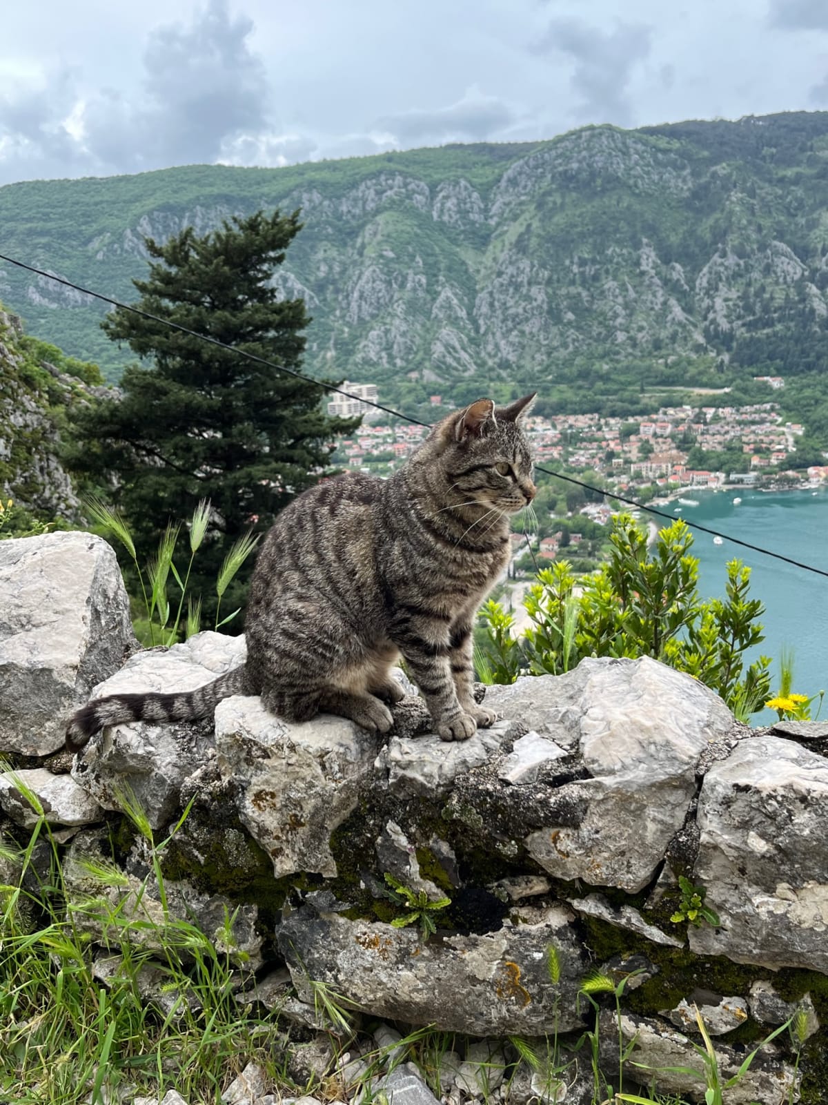 Kotor, Montenegro. Bay view.