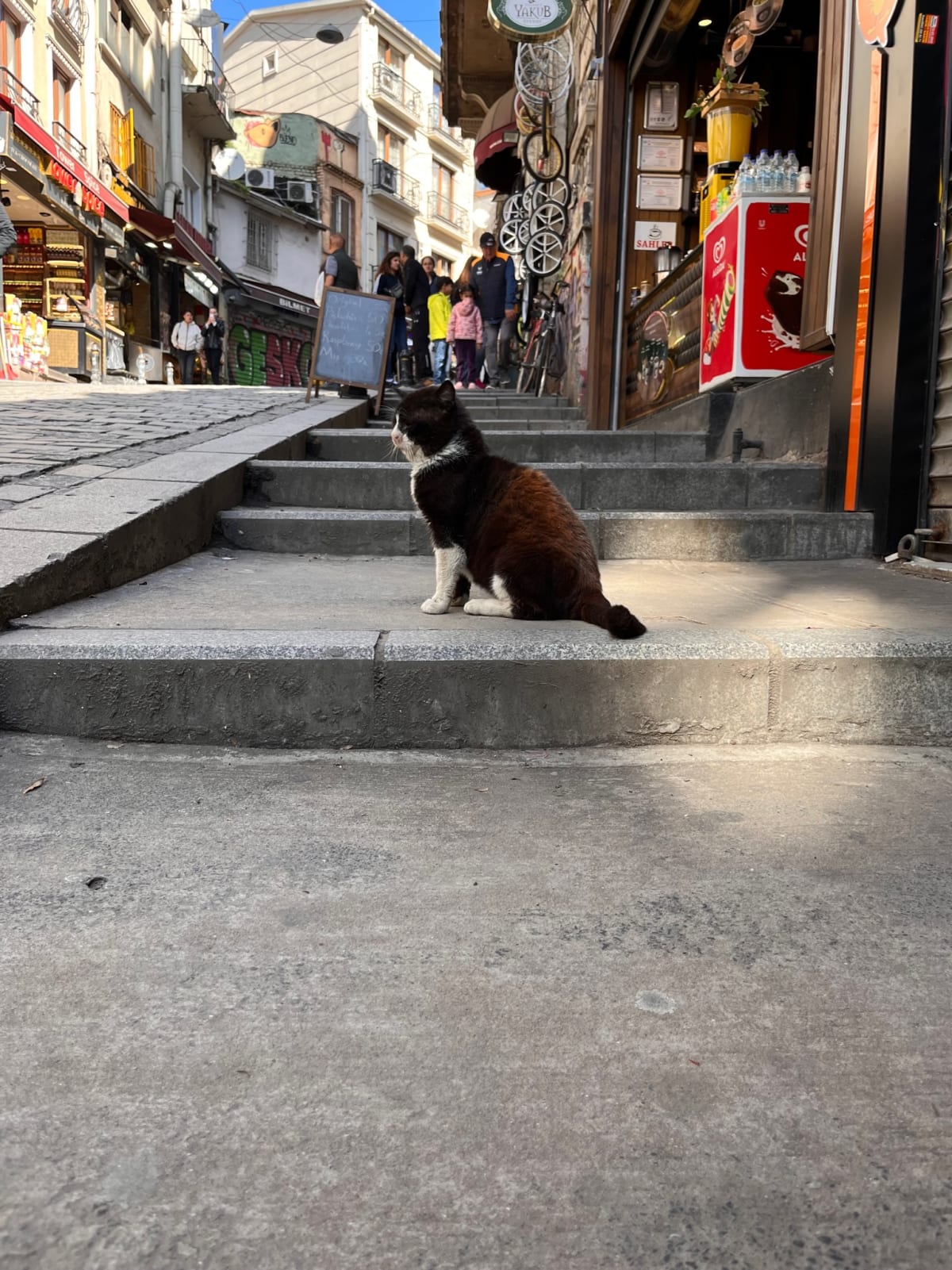 Istanbul. Guard