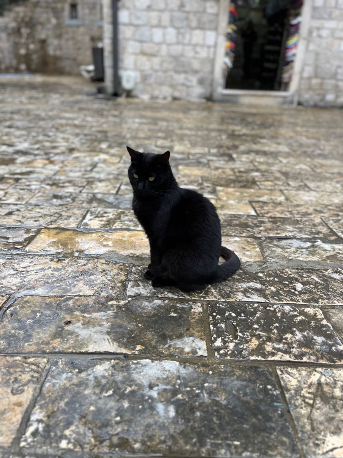 Kotor. Black