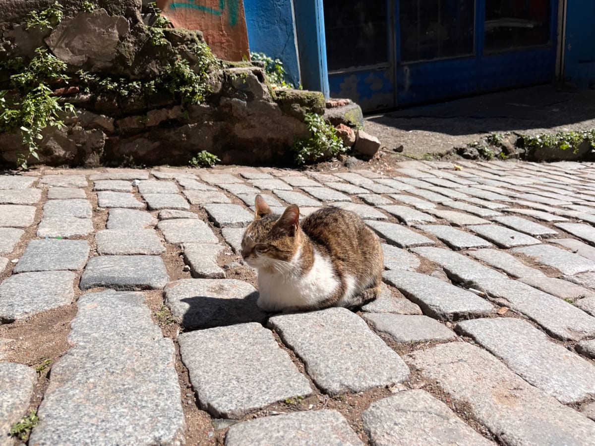 Istanbul. Sun