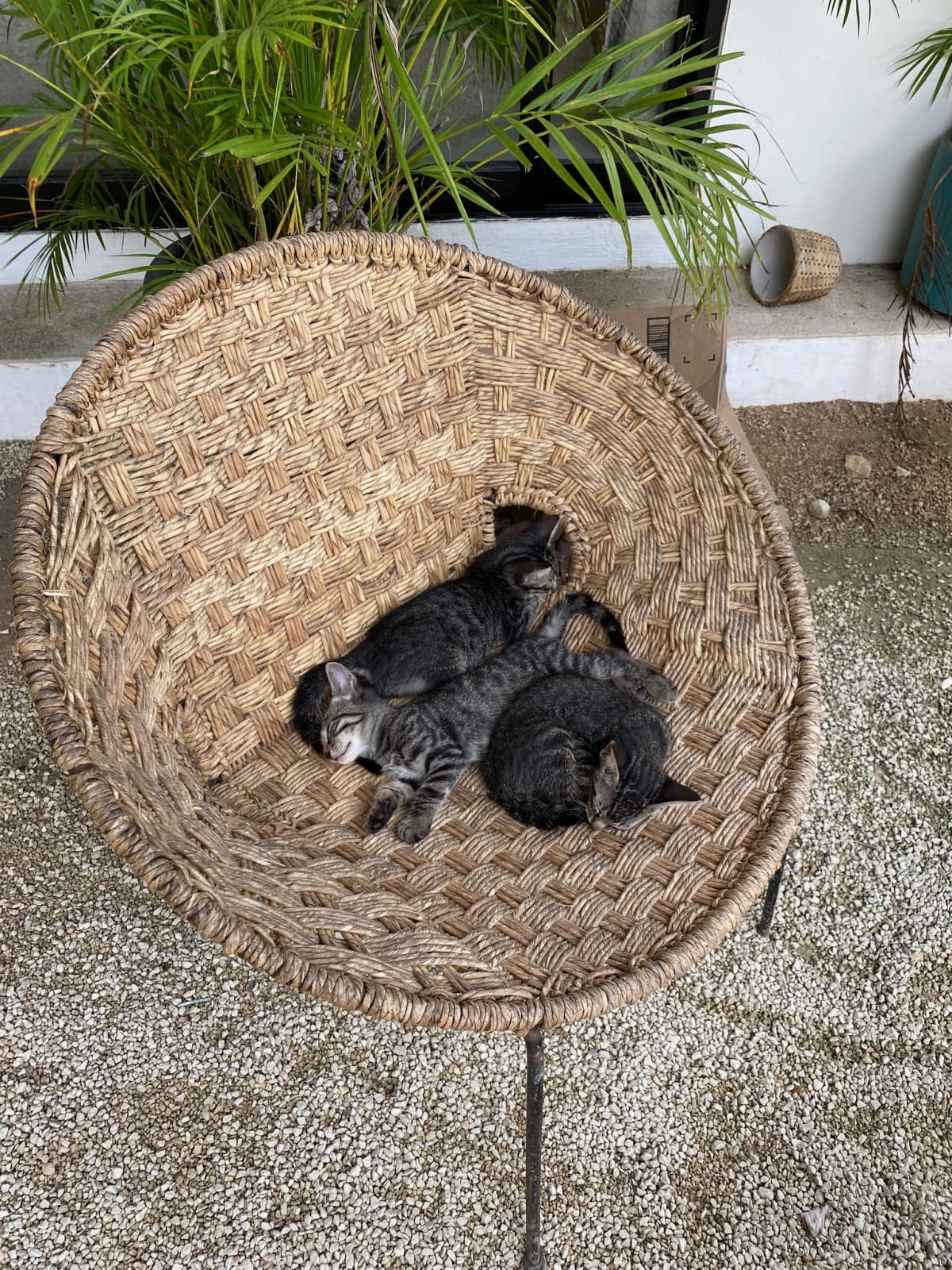 Tulum. Siesta