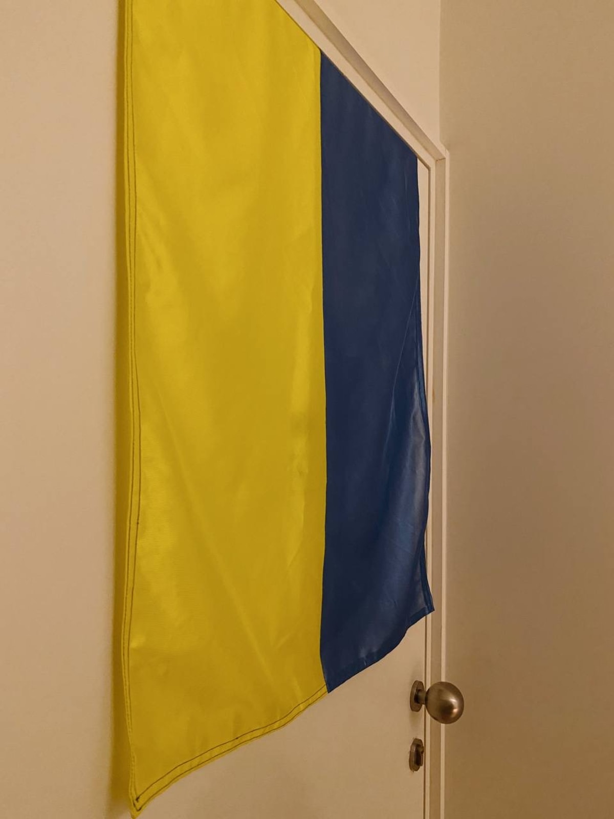 photo from album ukraine.flags