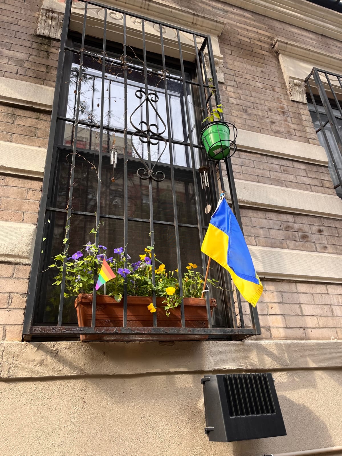 photo from album ukraine.flags