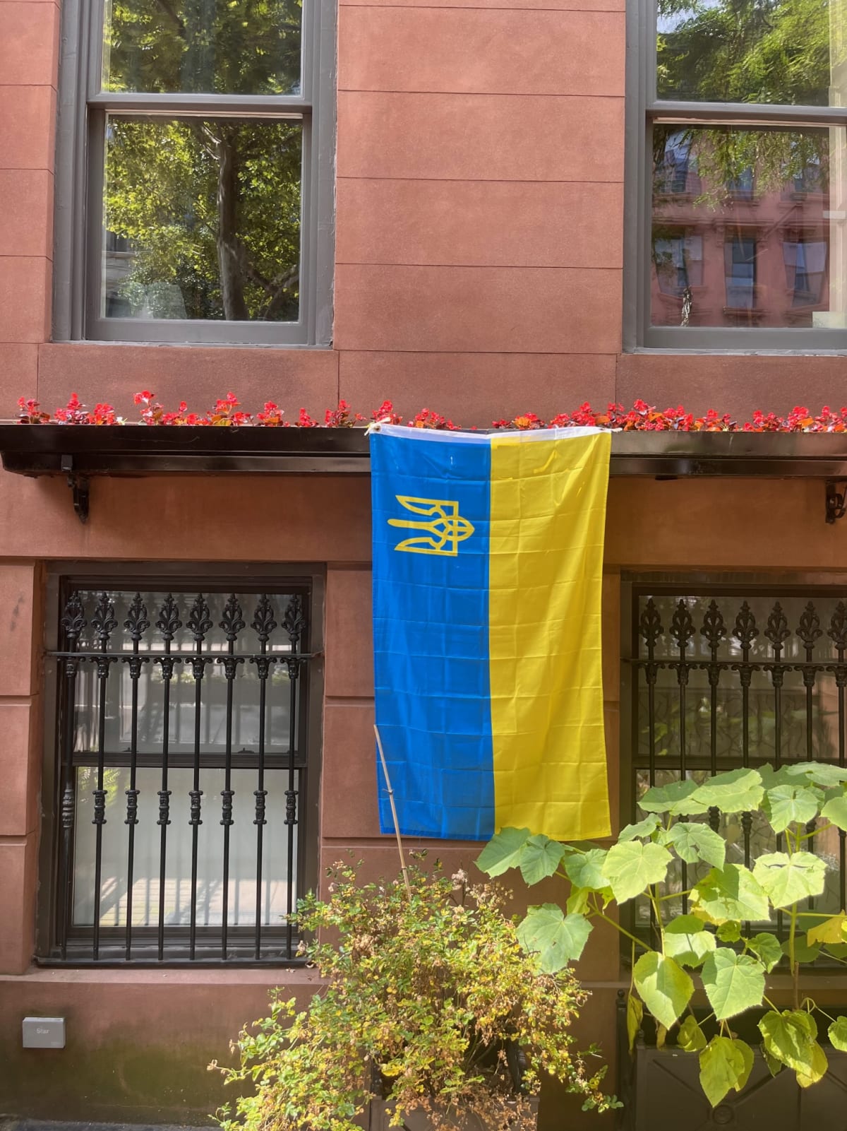 photo from album ukraine.flags