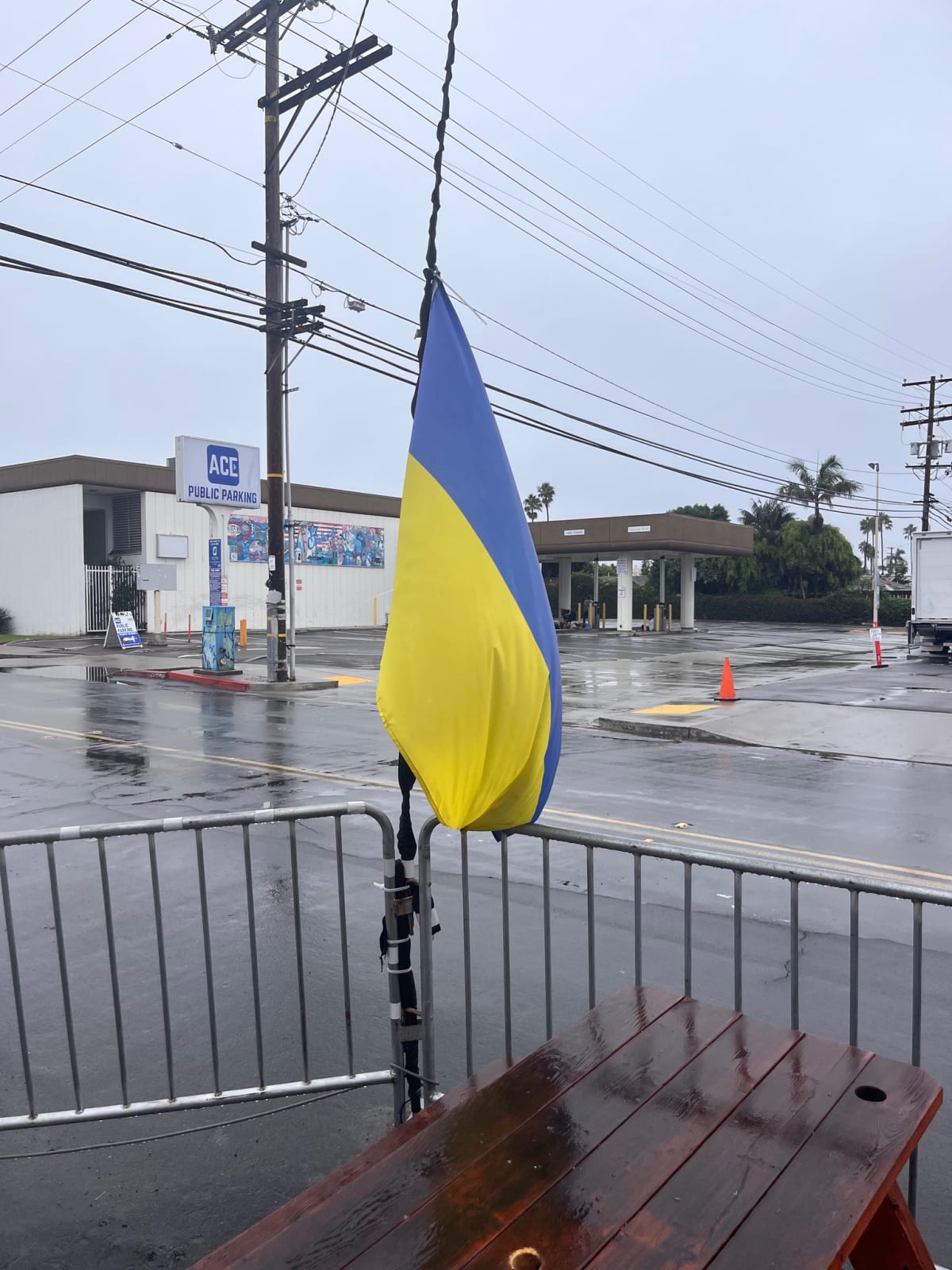 photo from album ukraine.flags