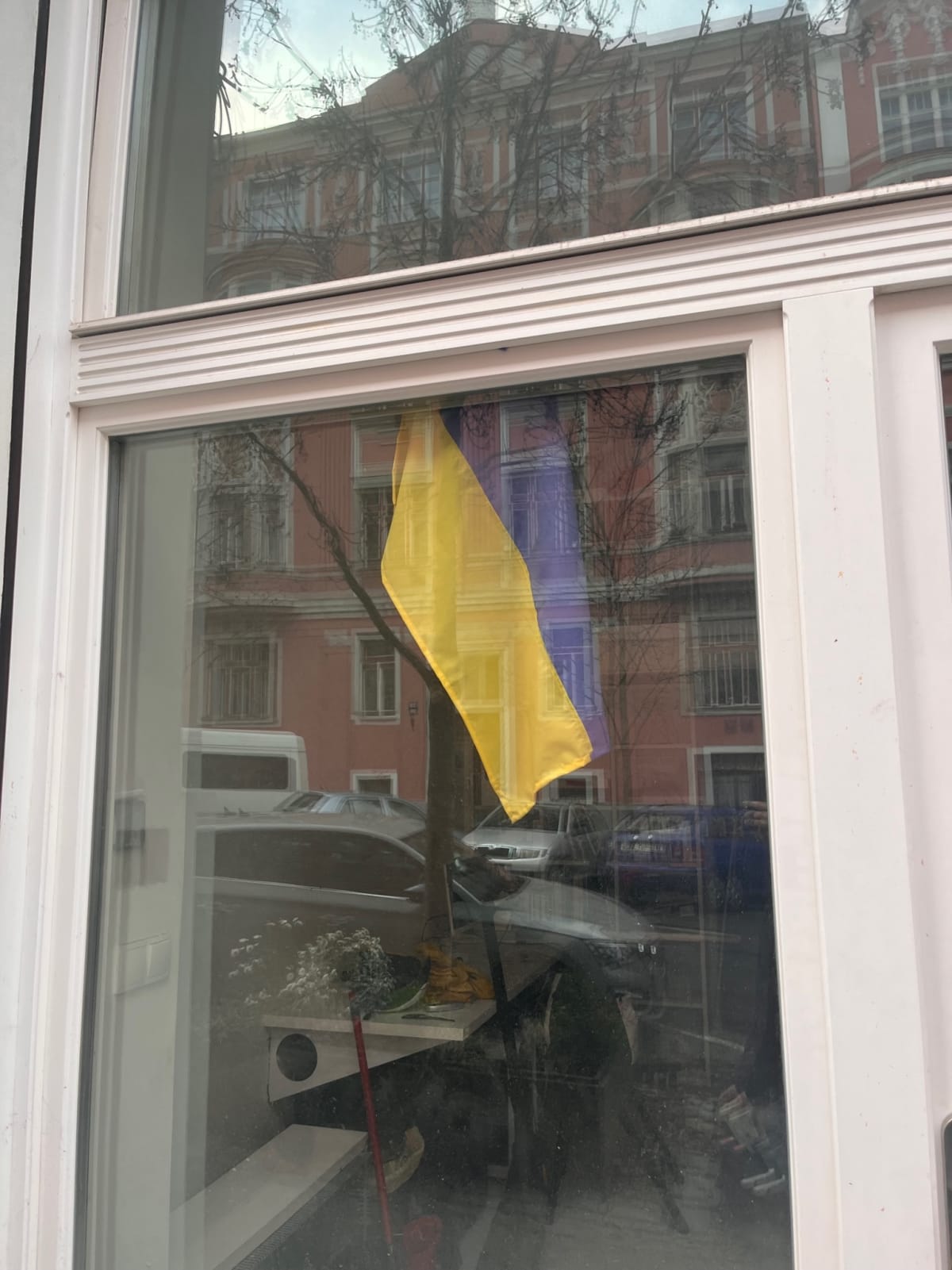 photo from album ukraine.flags