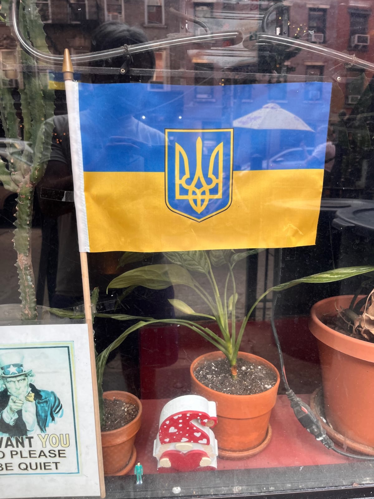 photo from album ukraine.flags