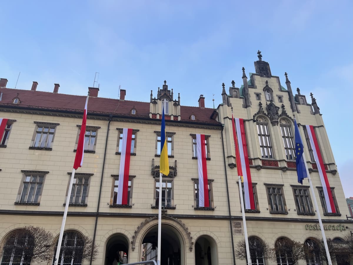 photo from album ukraine.flags