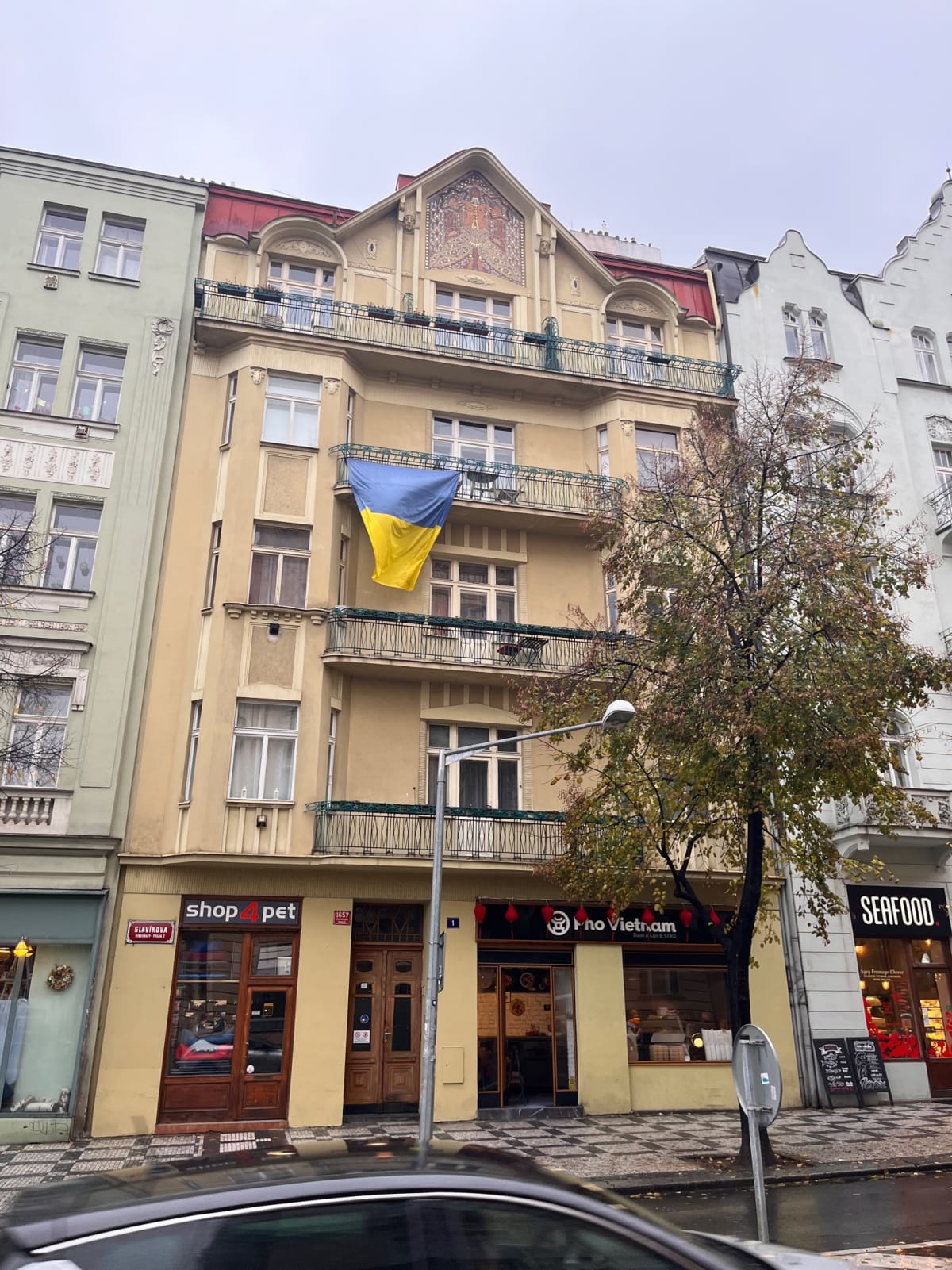 photo from album ukraine.flags