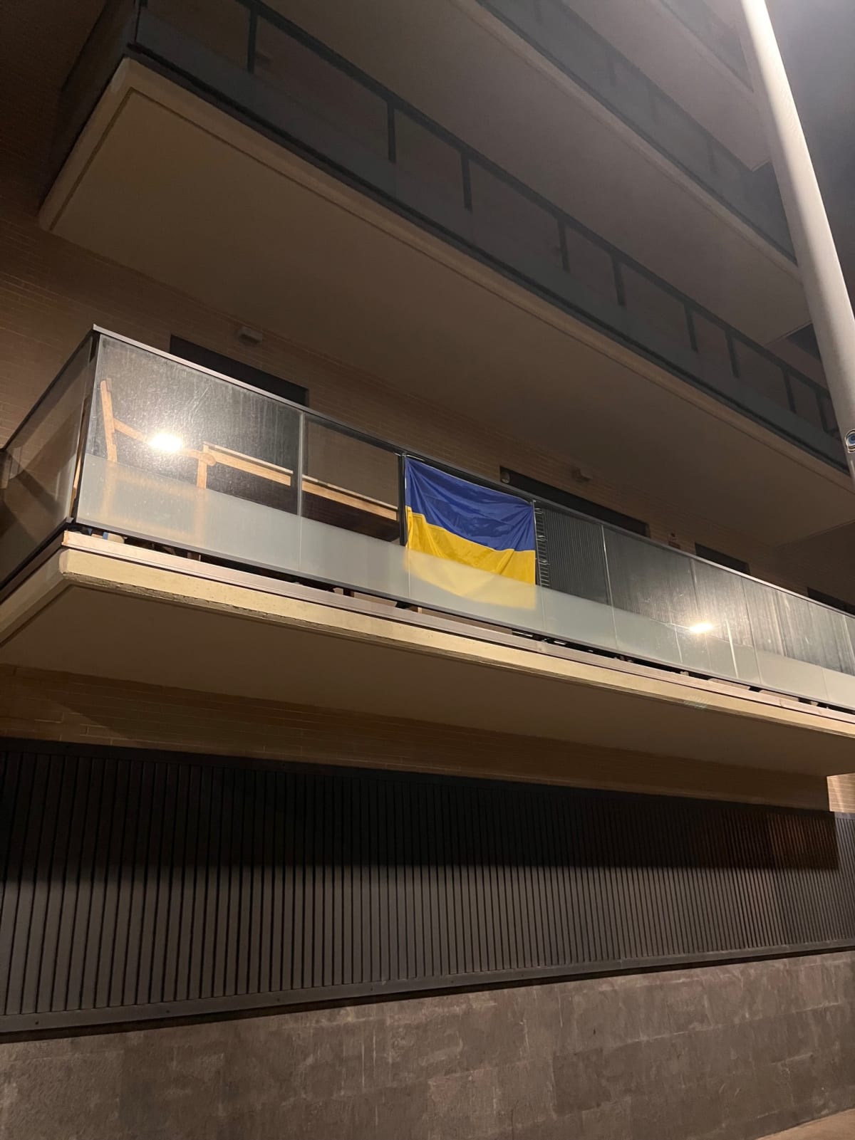 photo from album ukraine.flags