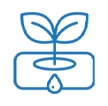 Icono 5