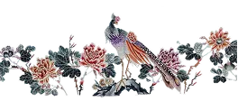 Phoenix & Peonies