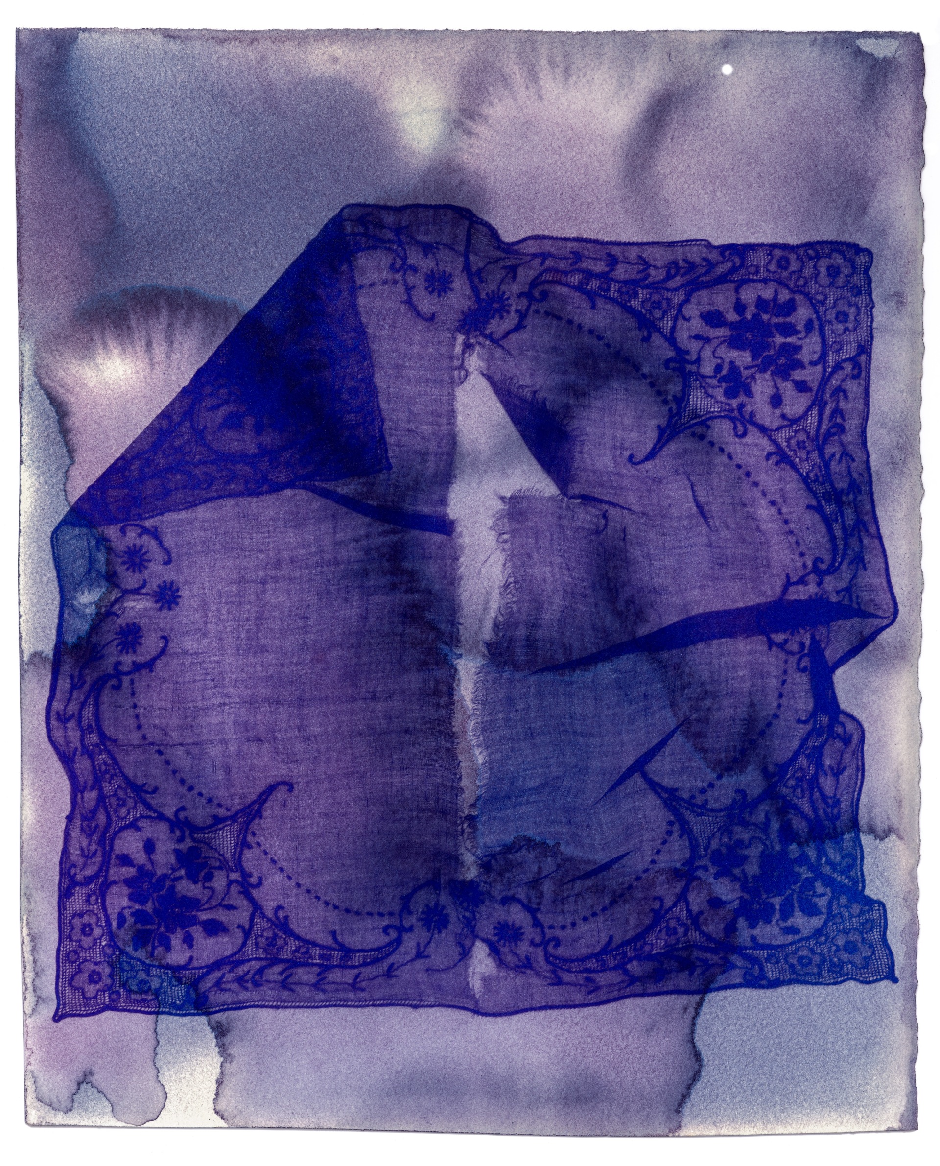 Process: Fugitive ink photogram. Watercolor ink on rag paper, sunlight, time.
Dimensions: 14x11 inches
Date: 2020