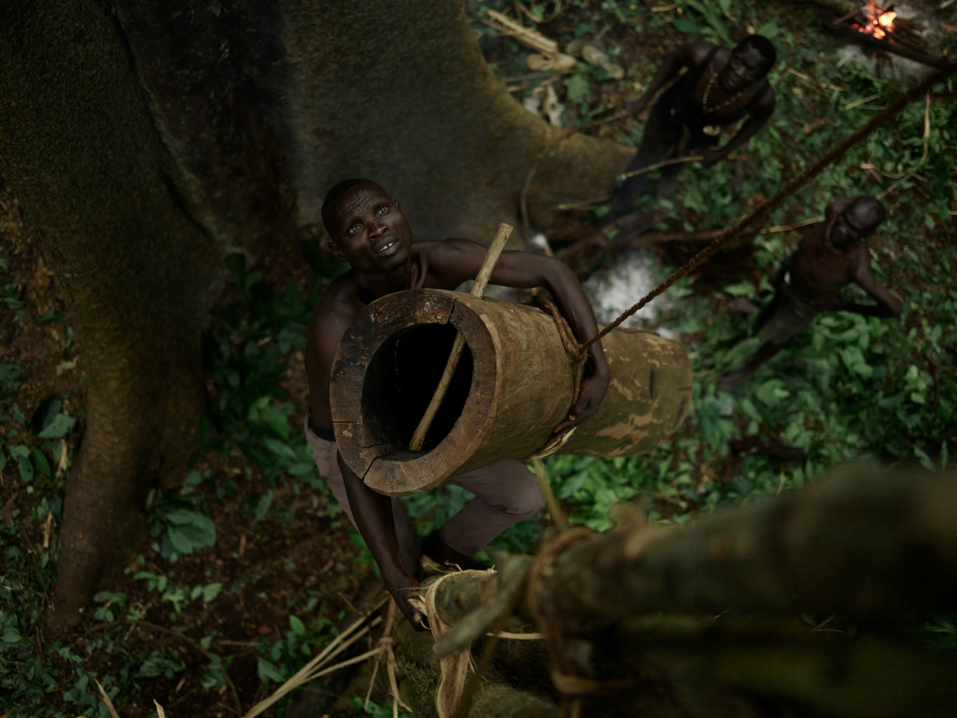 Hollowed out tree trunks are hung in the highest branches for bees to build hives within. When the honeycombs are ready to be harvested, the Majang scale the trees at night, calm the bees with smoke, and harvest the raw honey. Majang, Gambela Region, Ethiopia.
Location - Ethiopia Medium - digital capture Series - Ethiopia