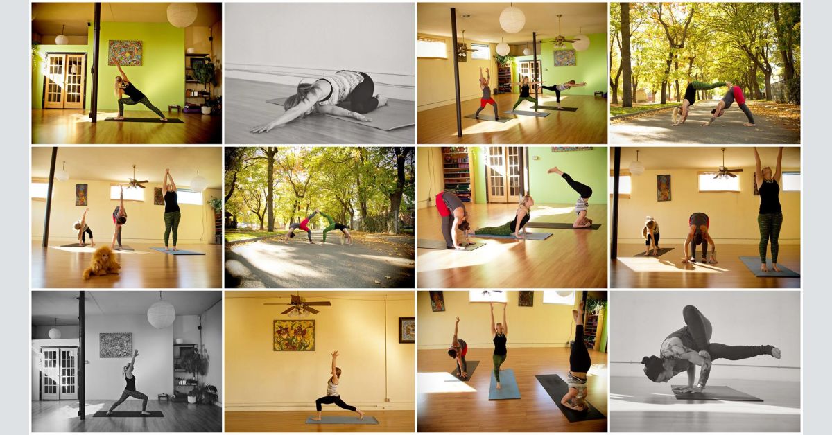 ONLINE AllLevel Flow on Aug 14, 2023 Mellow Monkey Yoga • Mellow
