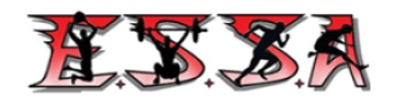 ESSA Sports Performance Training