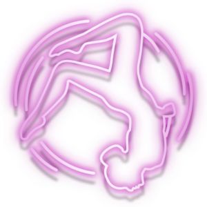 Dancing in Circles: Aerial Dance Studio