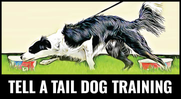 Tell a Tail Dog Training