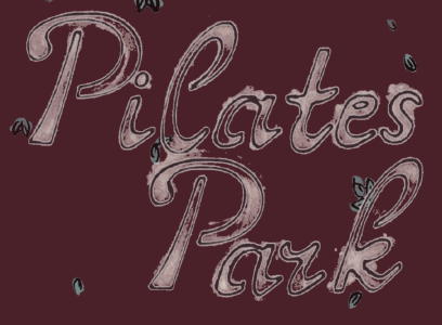Pilates Park