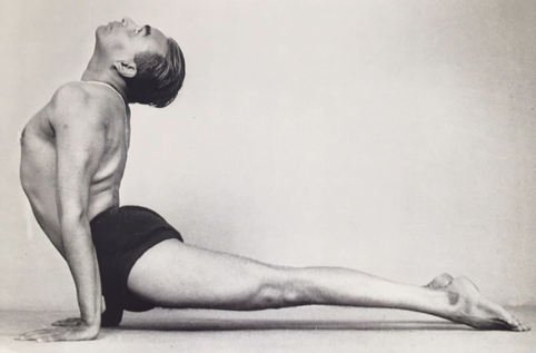 Blog - Pose of the Week: Urdhva Mukha Svanasana