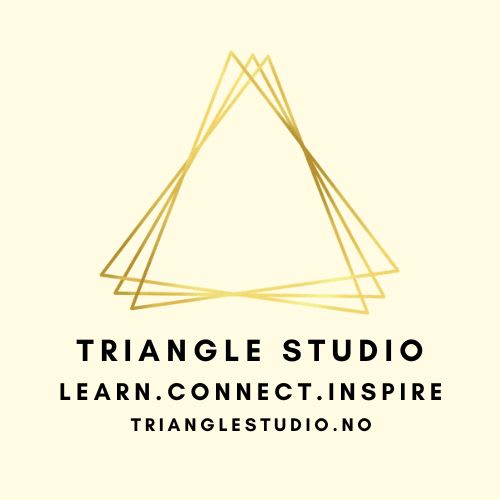 Triangle Studio Logo