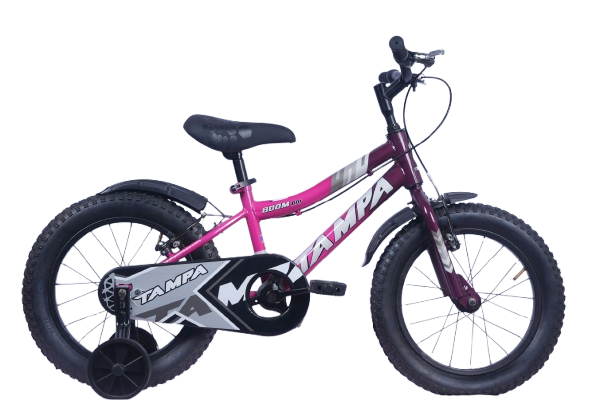 ZOOM  20'   V-BRAKE
