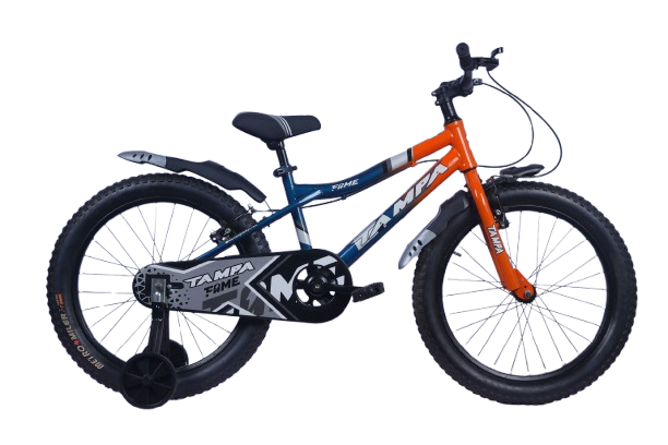 FAME  20'   V-BRAKE