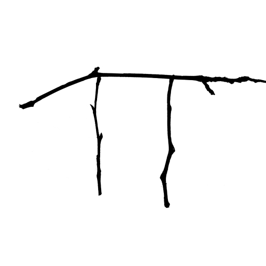 Thomas Takada logo
