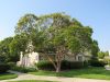 Image of 3712 Bennington Court