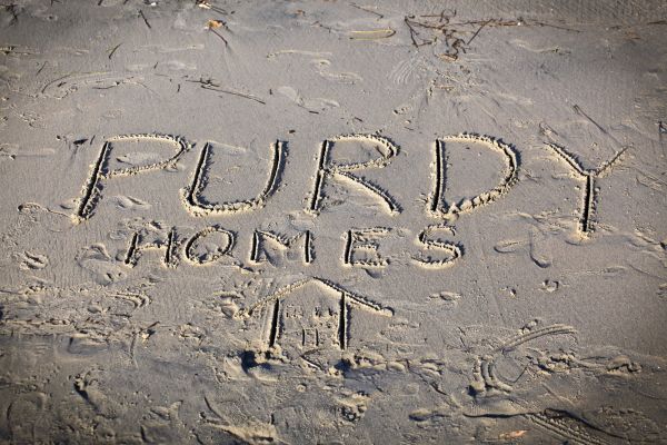 Purdy Homes written in the sand